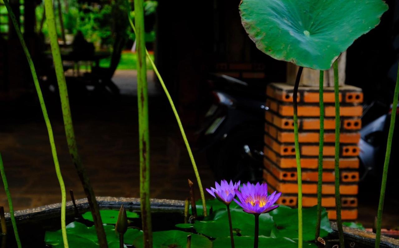 Plei Homestay & Cafe Pleiku Exterior foto