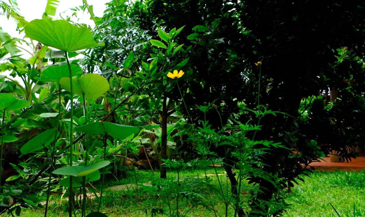 Plei Homestay & Cafe Pleiku Exterior foto